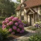 Ortensia Hydreangea Arborescens Pink Annabelle® Ortensia Hydreangea Arborescens Pink Annabelle®