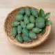 Feijoa da frutto Acca Sellowiana