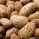 Mandorlo Tuono  Pianta da frutto di Mandorla Tuono Varietà a Guscio Semi-Duro Autofertile  
