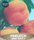 Pesca Percoca Baby Gold 7 (Prunus Persica)